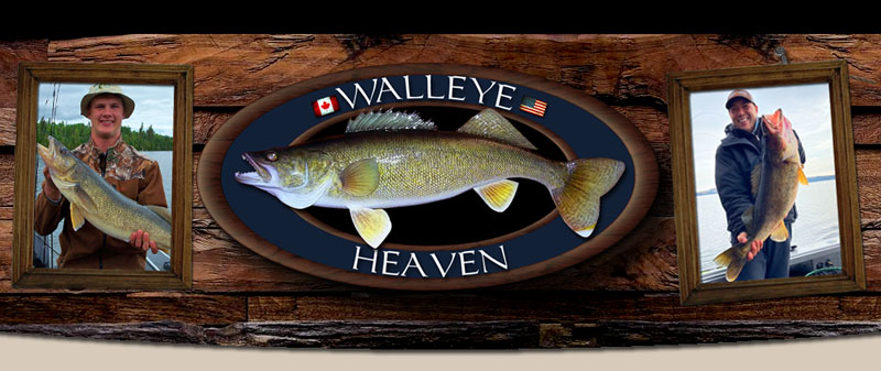World Record Catch & Release Walleye Ontario